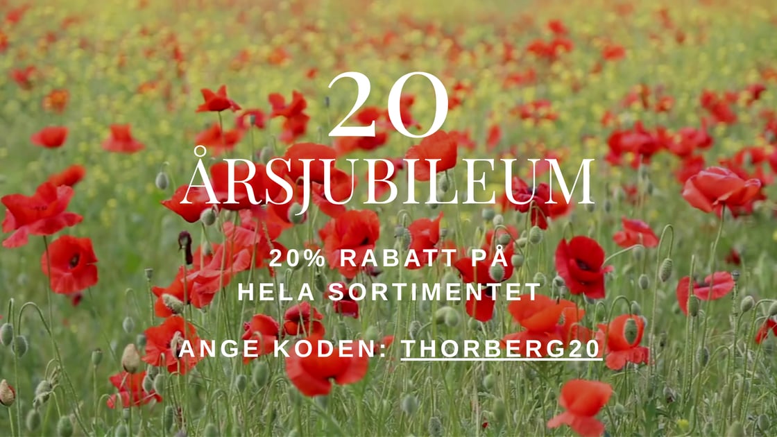 Thorberg - mejlutskick (14)